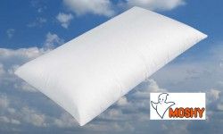ALMOHADA SEGURA MOSHY