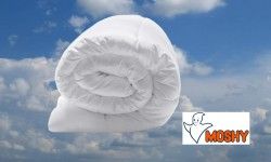 EDREDON NORDICO HIMALAYA MOSHY